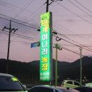 안계미나리농장 이미지