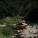 처연의 소리 이미지