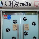 모모몽 애견까페 이미지