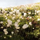 호숫가의 풍경 이미지