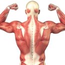 자이언트헬스 이미지