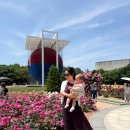 남재경로당 | 10개월 아기와 올림픽공원 장미광장 나들이 🌹 (+피크닉 후기)