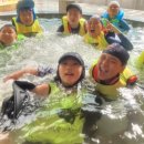 경희대 이루다 태권도장 이미지