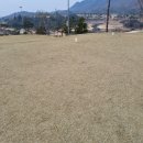 화순골프존 이미지