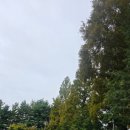 김수녕양궁장 트랙 이미지