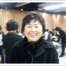 폭소클럽 Daum카페