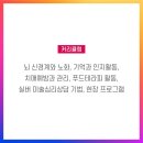 노인심리상담사 자격증 과정 이미지