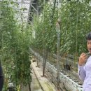 토마토25시 이미지