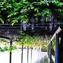 수정초등학교 이미지