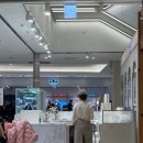 아름스토어 | [영등포 타임스퀘어 달라또 팝업스토어] 두쫀쿠 원조 후기 (+ 핫플247 두쫀쿠 후기)