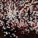 길에서(On The Road) 이미지