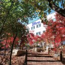 용인비상에듀기숙학원 이미지