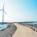 신창 그리고 제주 이미지