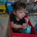 토마토시네마 이미지