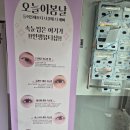 오늘은봄날 | 안양 애니메연장 오늘이봄날 위치 주차 내부 속눈썹연장 후기