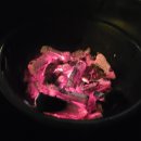 스와니 펜션 이미지