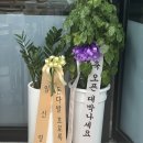 팬더짬뽕 | 증평 짬뽕 맛집 ❝팬더 짬뽕❞내돈내산 솔직후기🍜