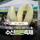 천안 가볼만한곳 2026 수신멜론축제 구매팁 가격 정보 후기