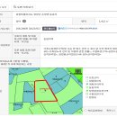 소나무숲민박 이미지