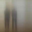 STAY PET SHOP 이미지