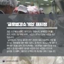 과일나라춘천