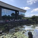 번영로R 이미지