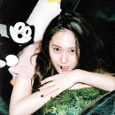 크리스탈존 Daum카페