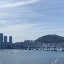 자갈마당포차 이미지