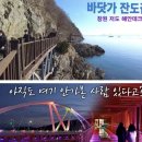 11/2(토)바닷길 잔도 저도섬 국화축제+어시장(마산)출발06시20 이미지