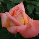 부여(외산)-3 이미지