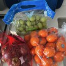 [내돈내산 후기]프레델 과일 - 망고스틴 만다린 오톰크리스피 다 최고 ..🍊