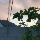 소울민박 이미지