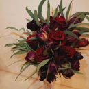 마미플레르 이미지