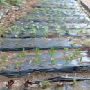 풍년농자재 이미지