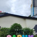 사북중앙로 | [ 강원 정선 ] 사북시장/하이원 워터월드/닭갈비/메이힐스리조트 후기