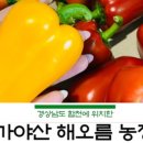 해오름농장 이미지