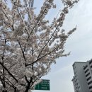 세븐일레븐 여의서울점 이미지