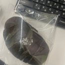 조은사료상사 | 맹목적으로 인생의 검은 광맥을 쫓아가면서 고생인 줄도 몰랐다.