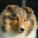 아이즈 오브 엔젤 이미지