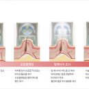 고운세상피부과의원 이미지