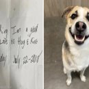 버거킹 앞 이미지