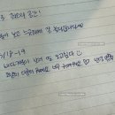 대만 여자혼자여행 소류구 1박2일 바다거북 스노클링 컨딩야시장