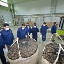 강릉농협농산물산지유통센터 이미지