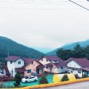 더자연펜션 이미지