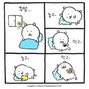 팔도미락 | 7•8월의 일상