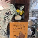 필리스카페