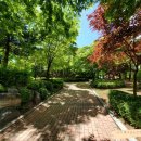 호구포근린공원 이미지