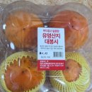 대봉 이미지