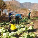 구포1동-3 이미지