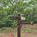 인천남중학교 북도분교 이미지